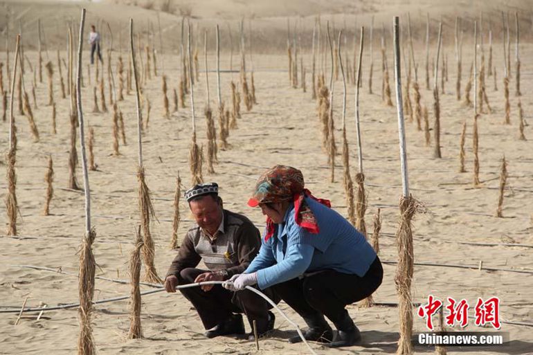 塔克拉玛干沙漠人口_那些地方 塔克拉玛干沙漠 签到有礼(2)