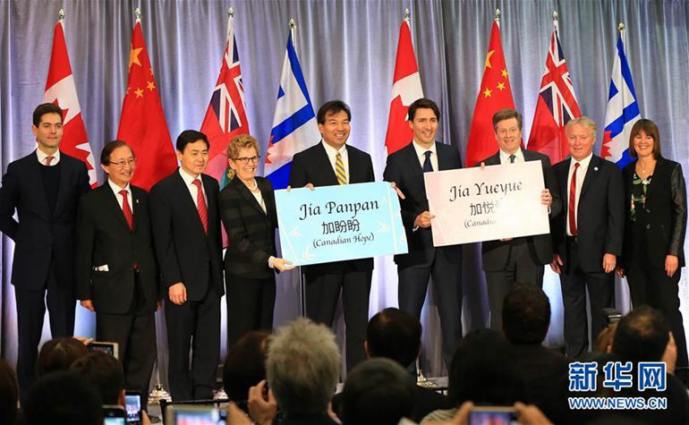 3月7日，在加拿大多伦多动物园，加拿大总理特鲁多（右四）、中国驻加拿大大使罗照辉（左五）、安大略省省长凯瑟琳·温（左四）、多伦多市长约翰·特里（右三）、中国驻多伦多总领事薛冰（左三）、多伦多动物园首席执行官约翰·特拉科尼亚（右二）、多伦多动物园董事局主席赵成俊（左二）等嘉宾出席龙凤胎熊猫宝宝命名仪式。 新华社发（邹峥摄）