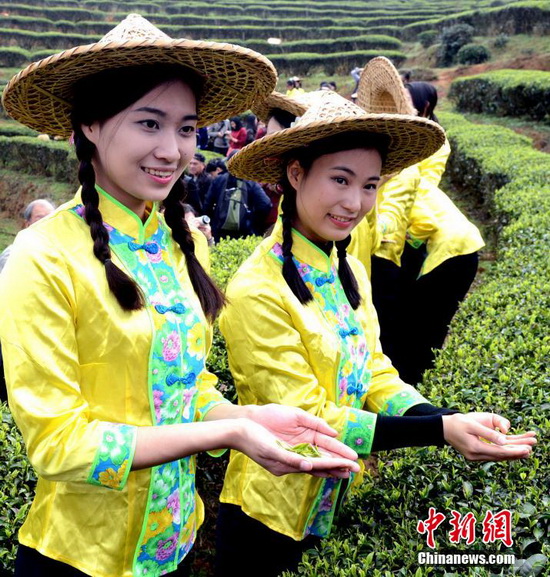 高清：福州举行“开春第一采” 传统祈福祭茶仪式【5】