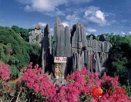 云南年度最受游客欢迎10大旅游景区石林景区