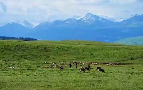 2016新疆旅游全攻略 快快收藏起来吧~_凤凰天津