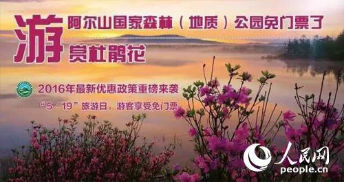 游阿尔山赏杜鹃花