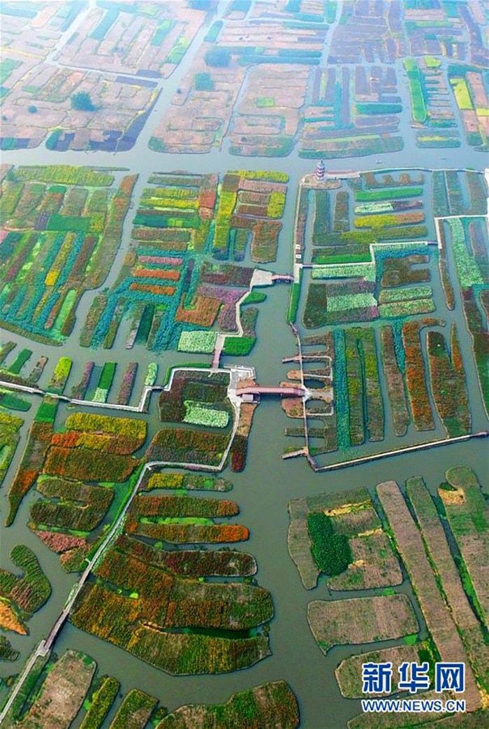 ����9��8�պ��ĵĽ����˻�ǧ��˻��羰����