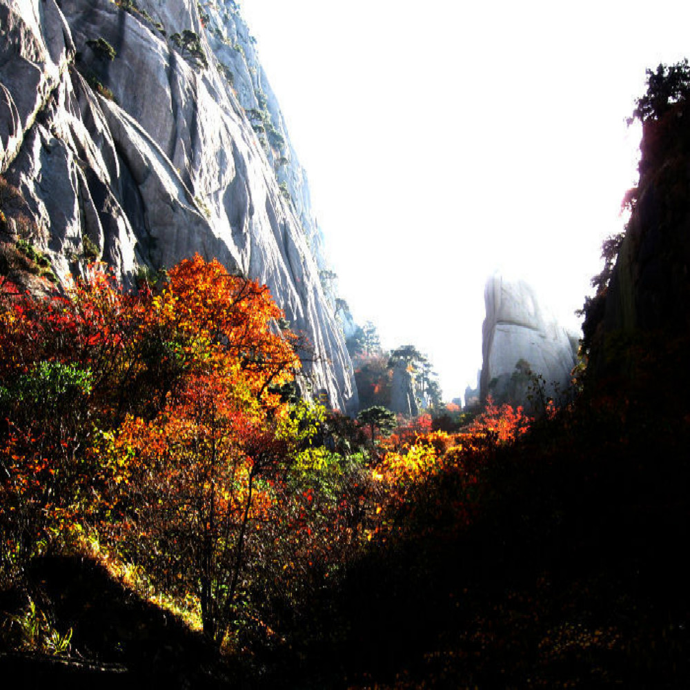山东省-青州市位于中国东方，“东方属木，木色为青”，故名“青州”。2013年11月18日被国务院评为国家历史文化名城，2017年青州古城景区获评“国家5A级旅游景区”。