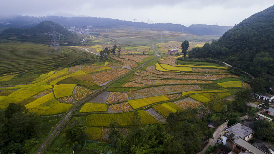 贵阳市花溪区高坡苗族乡大洪村,位于平均海拔1500米的山顶平原.