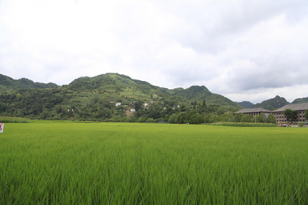 典寨村村貌典寨村自然环境十里画廊风景区,位于贵阳市开阳县禾丰乡与