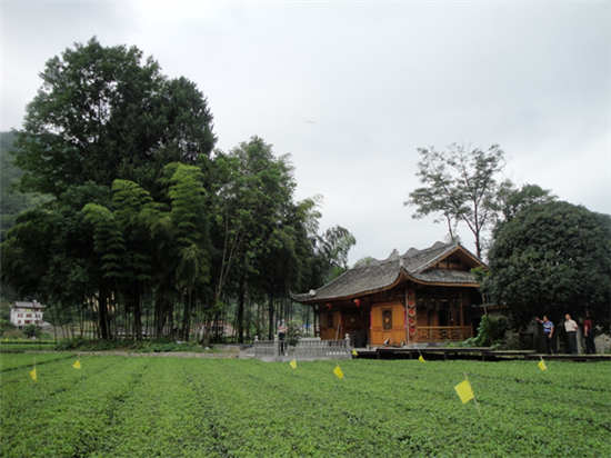 水田坝村