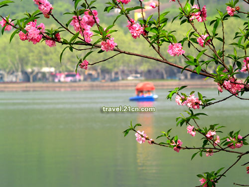 杭州:西湖美景三月天