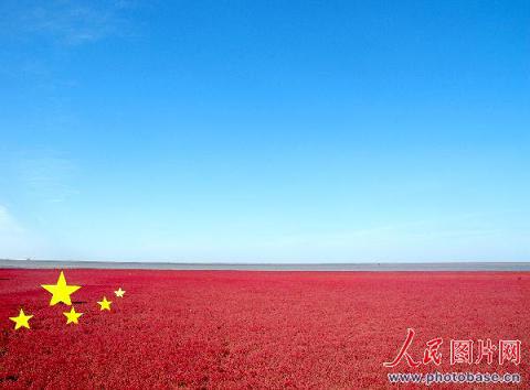 辽宁盘锦9万亩红海滩打造巨幅五星红旗献礼国