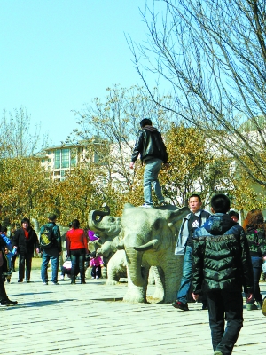 北京动物园:不文明游客站雕塑大象背上拍照(图